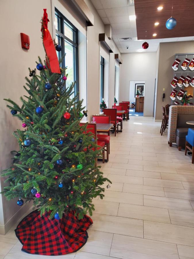 Holiday Inn Express St. Augustine - Vilano Beach By Ihg Saint Augustine Exterior foto